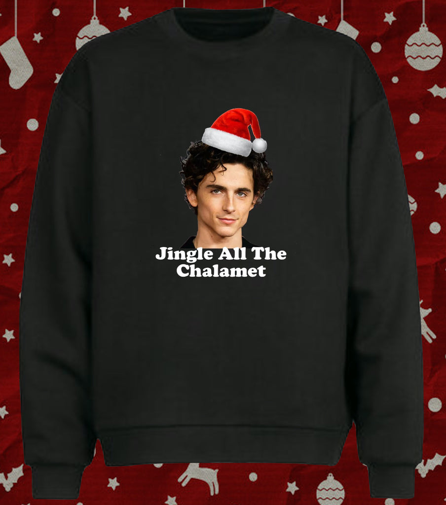 Jingle all the Timothee Chalamet Xmas Christmas Jumper Sweater in Grey New