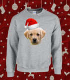 Custom Personalised Christmas Dog & Cat Pet Photo Christmas Sweatshirt Jumper